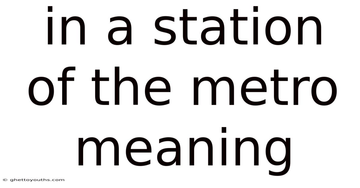 In A Station Of The Metro Meaning