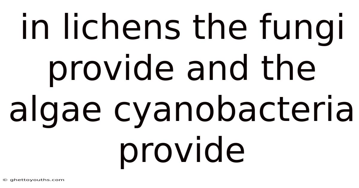 In Lichens The Fungi Provide And The Algae Cyanobacteria Provide