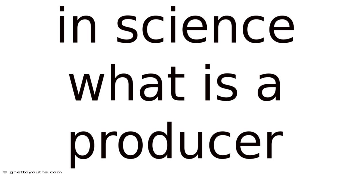 In Science What Is A Producer