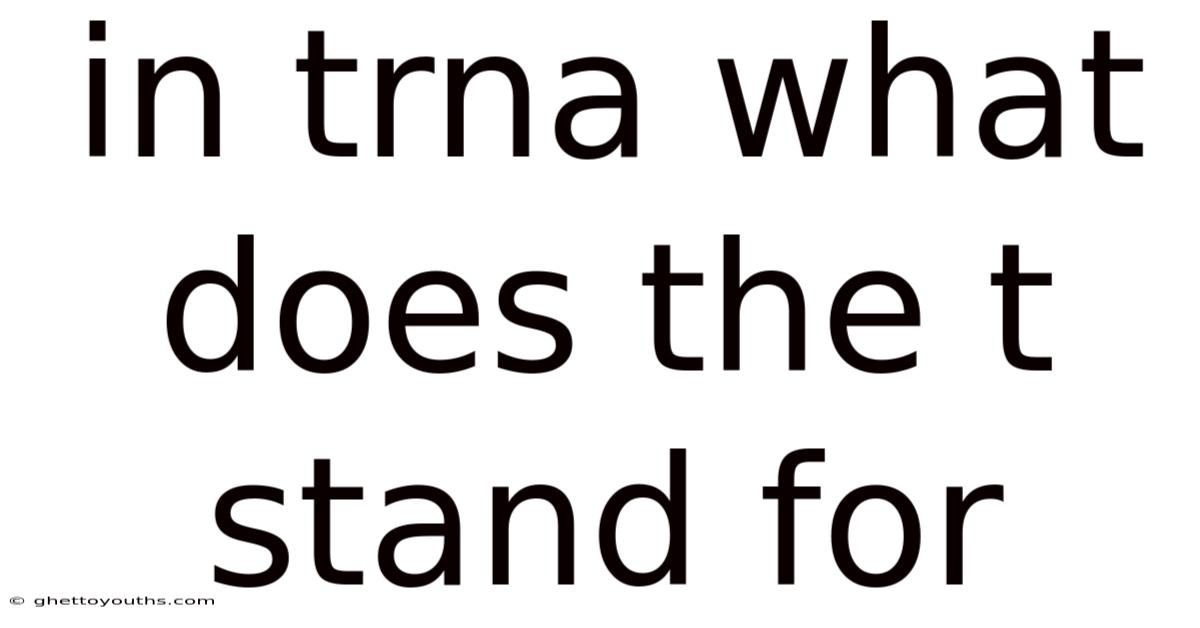 In Trna What Does The T Stand For