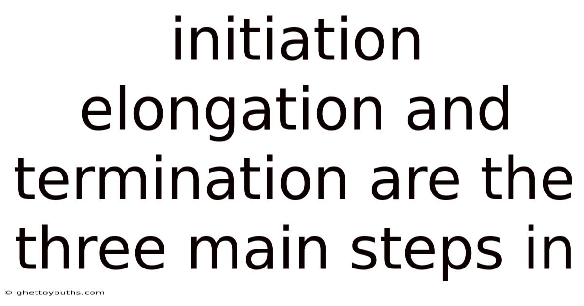 Initiation Elongation And Termination Are The Three Main Steps In