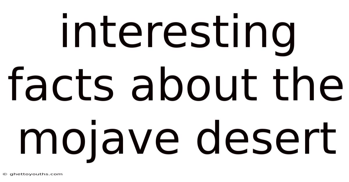 Interesting Facts About The Mojave Desert