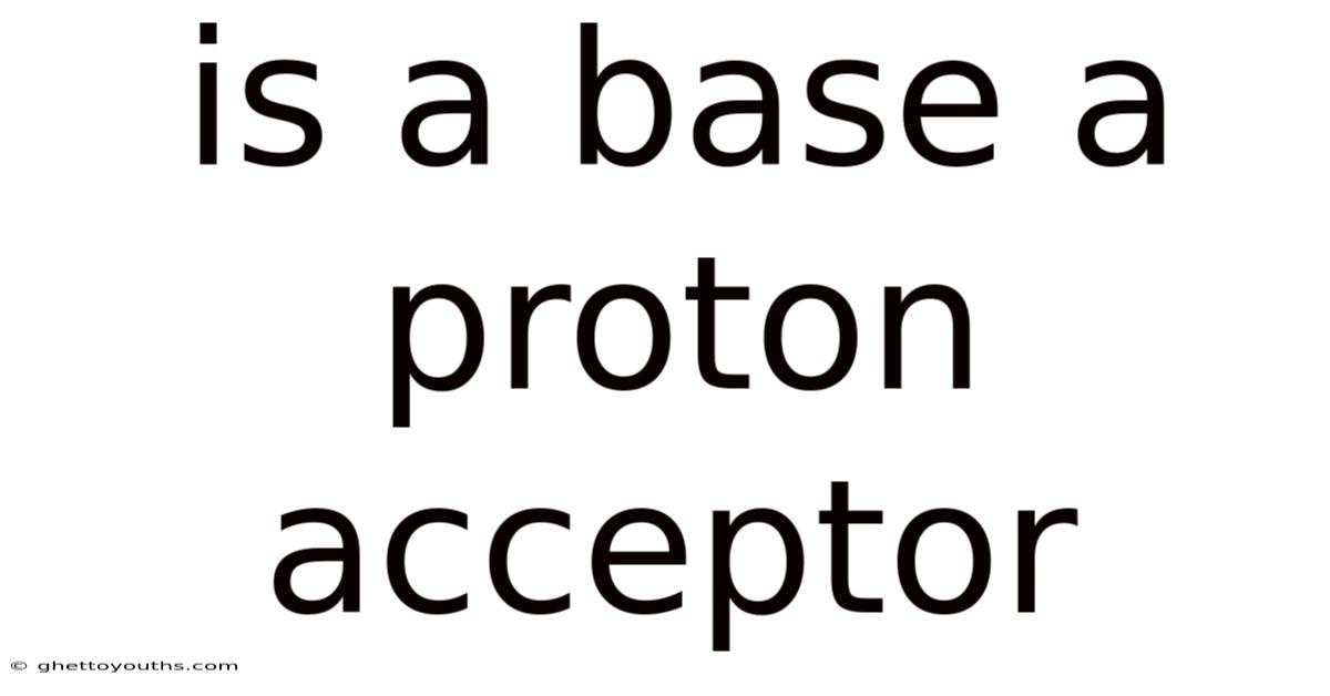 Is A Base A Proton Acceptor