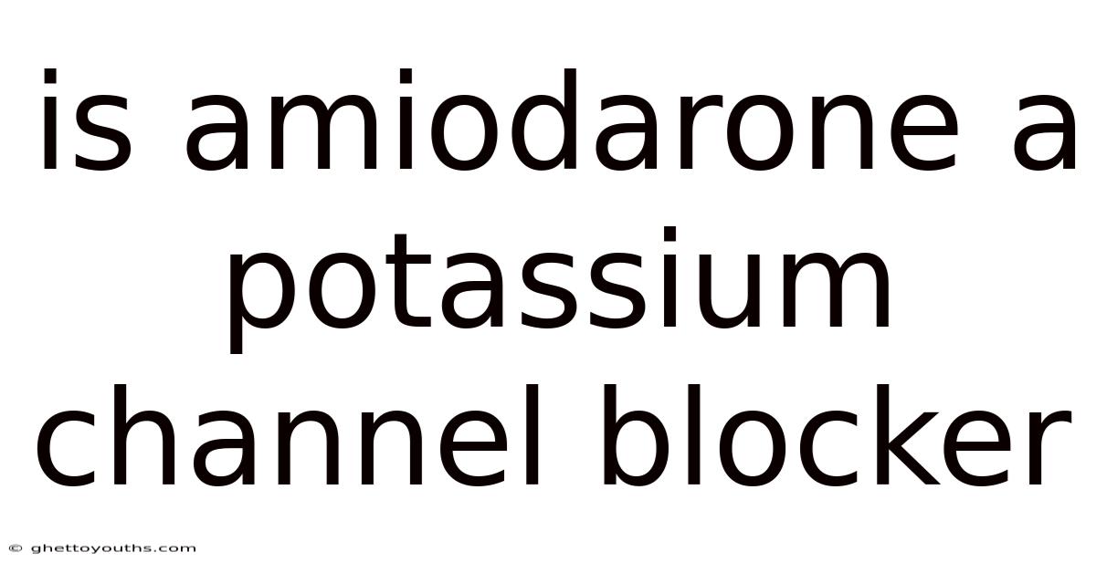 Is Amiodarone A Potassium Channel Blocker