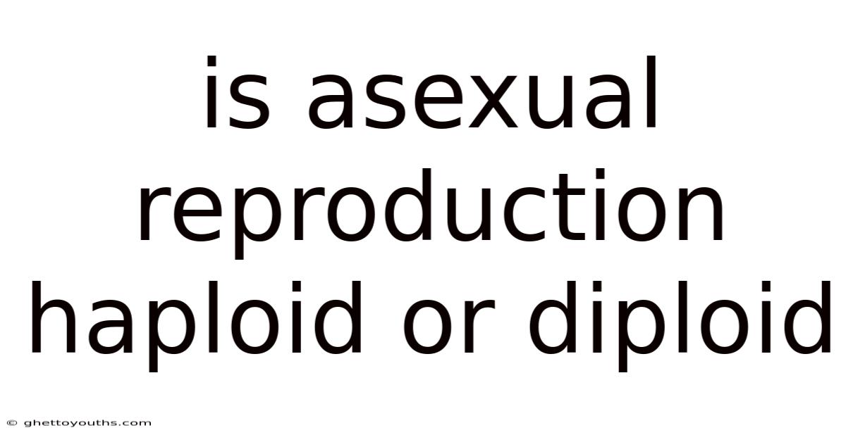Is Asexual Reproduction Haploid Or Diploid