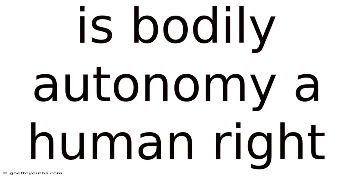 Is Bodily Autonomy A Human Right