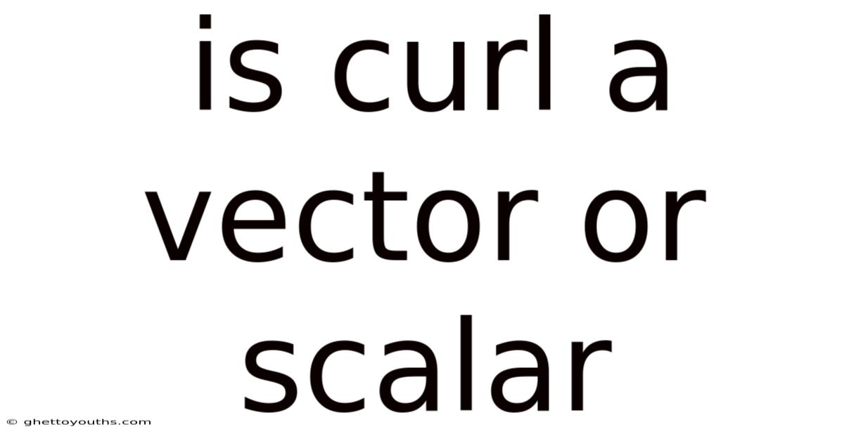 Is Curl A Vector Or Scalar