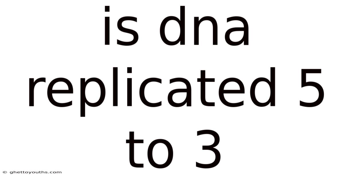 Is Dna Replicated 5 To 3