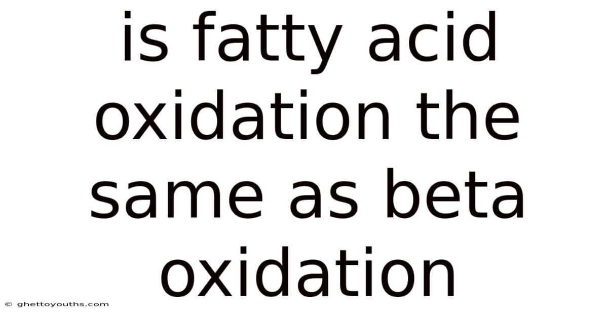 Is Fatty Acid Oxidation The Same As Beta Oxidation