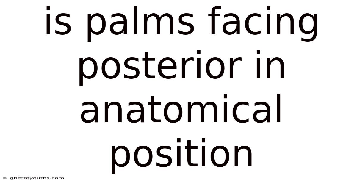 Is Palms Facing Posterior In Anatomical Position