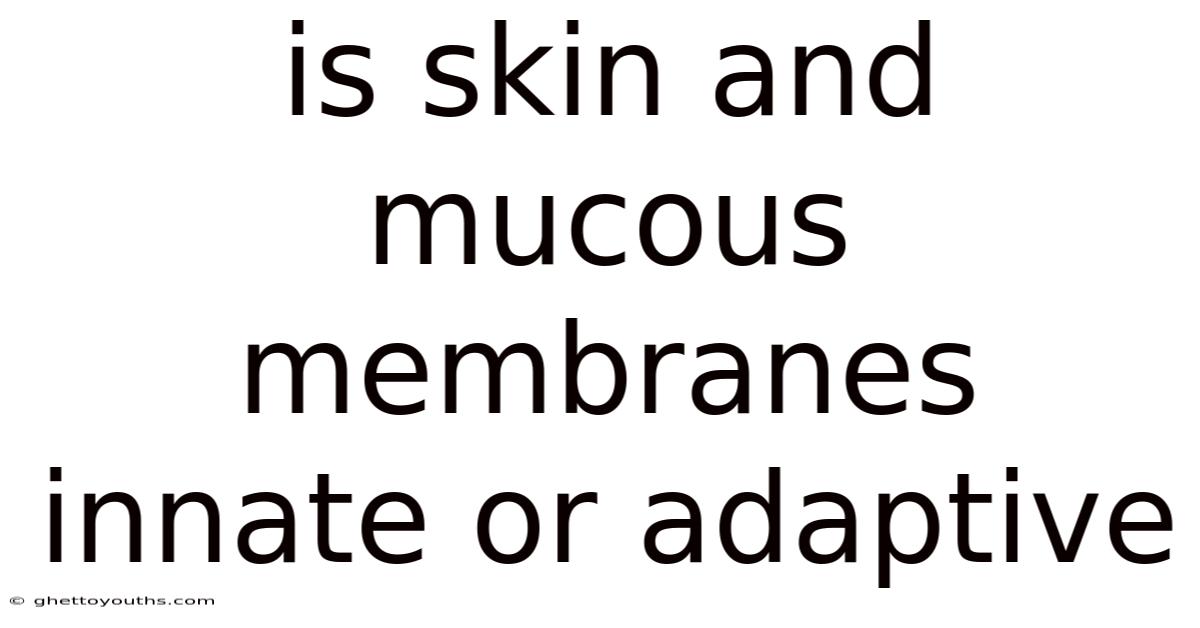 Is Skin And Mucous Membranes Innate Or Adaptive