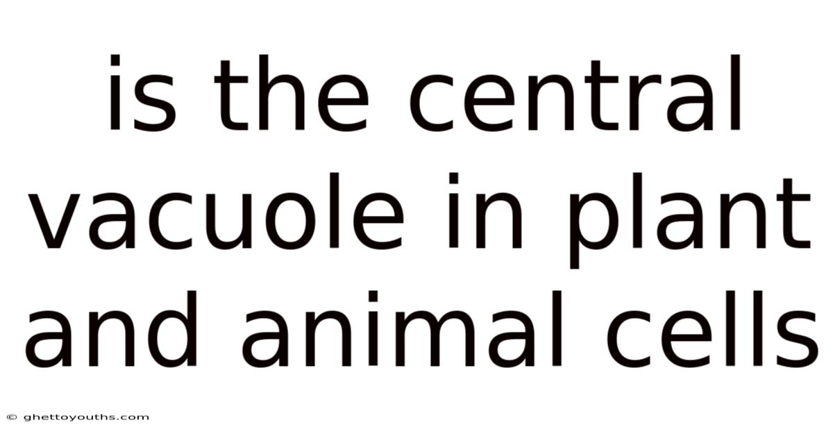 Is The Central Vacuole In Plant And Animal Cells