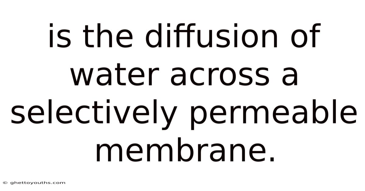 Is The Diffusion Of Water Across A Selectively Permeable Membrane.