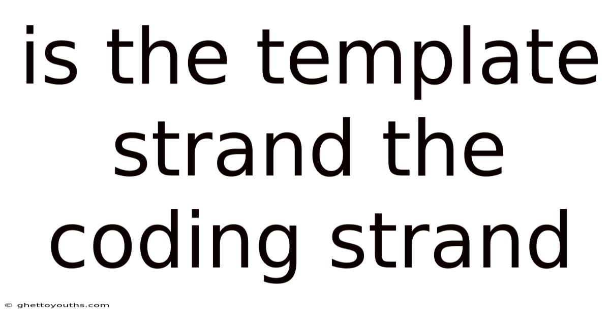 Is The Template Strand The Coding Strand