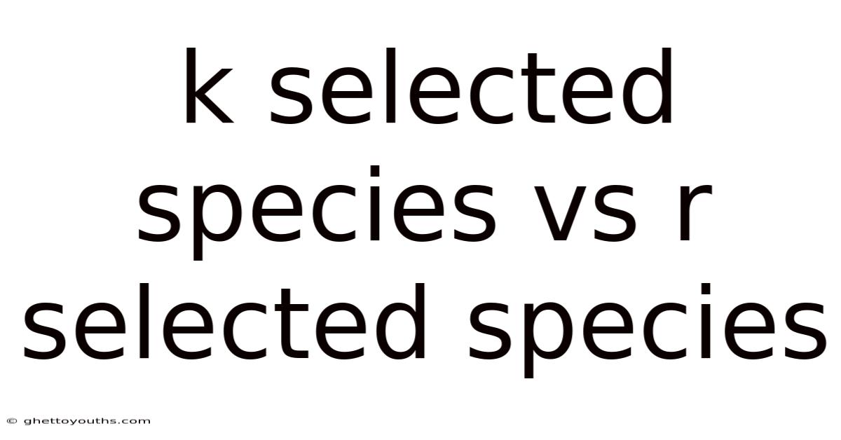 K Selected Species Vs R Selected Species