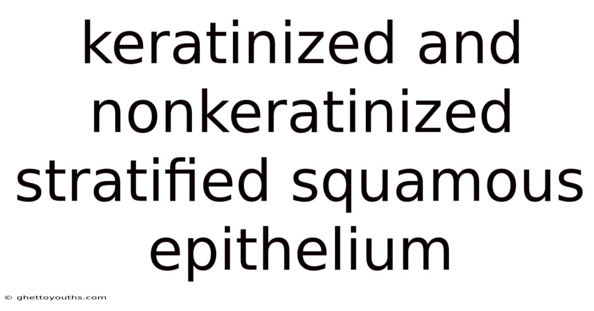 Keratinized And Nonkeratinized Stratified Squamous Epithelium
