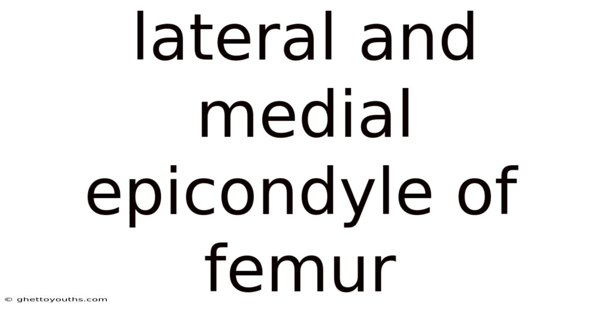 Lateral And Medial Epicondyle Of Femur