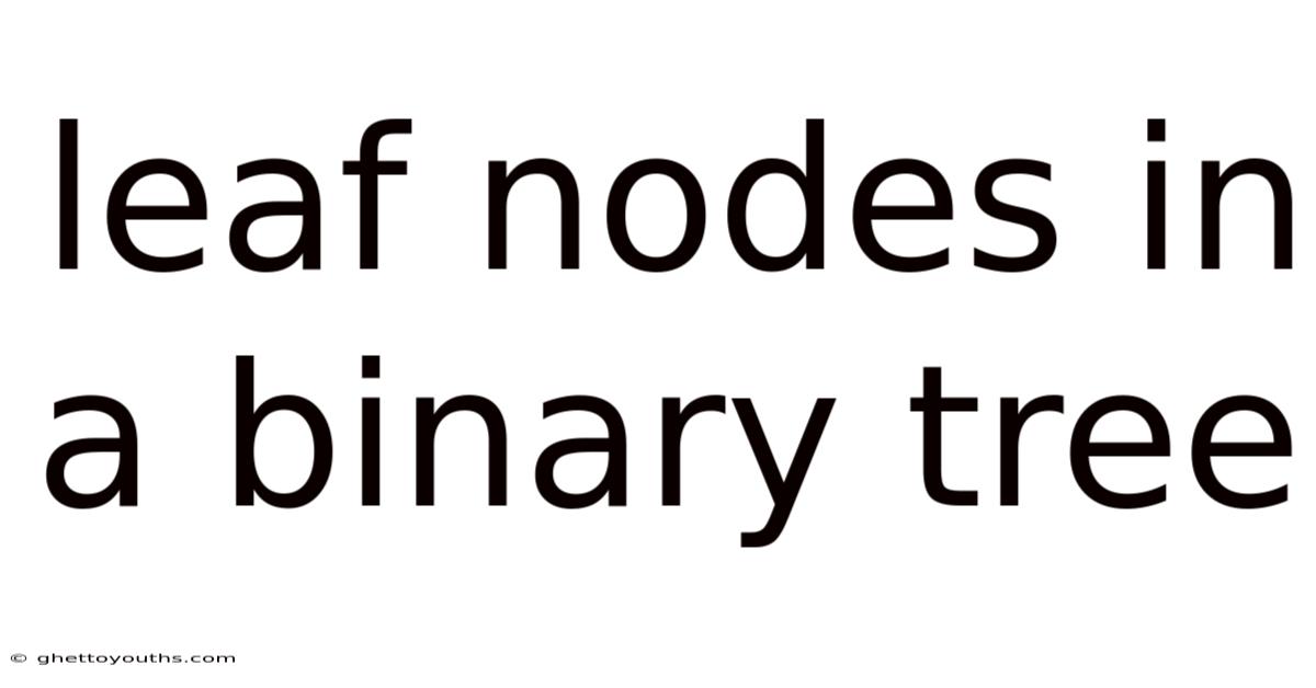 Leaf Nodes In A Binary Tree