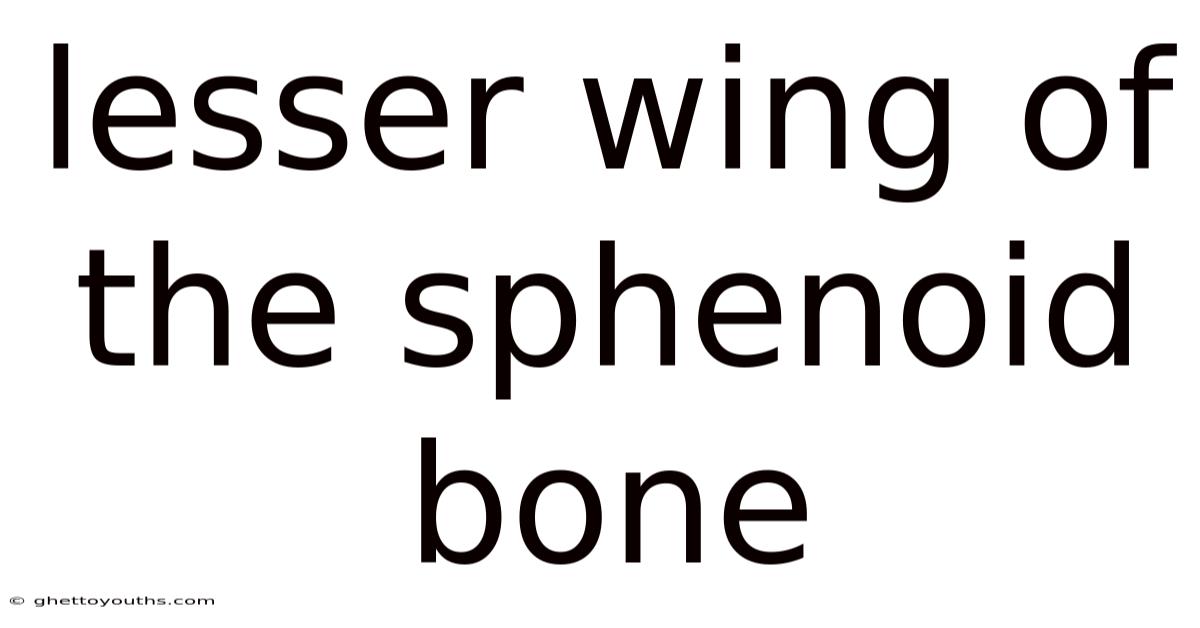 Lesser Wing Of The Sphenoid Bone