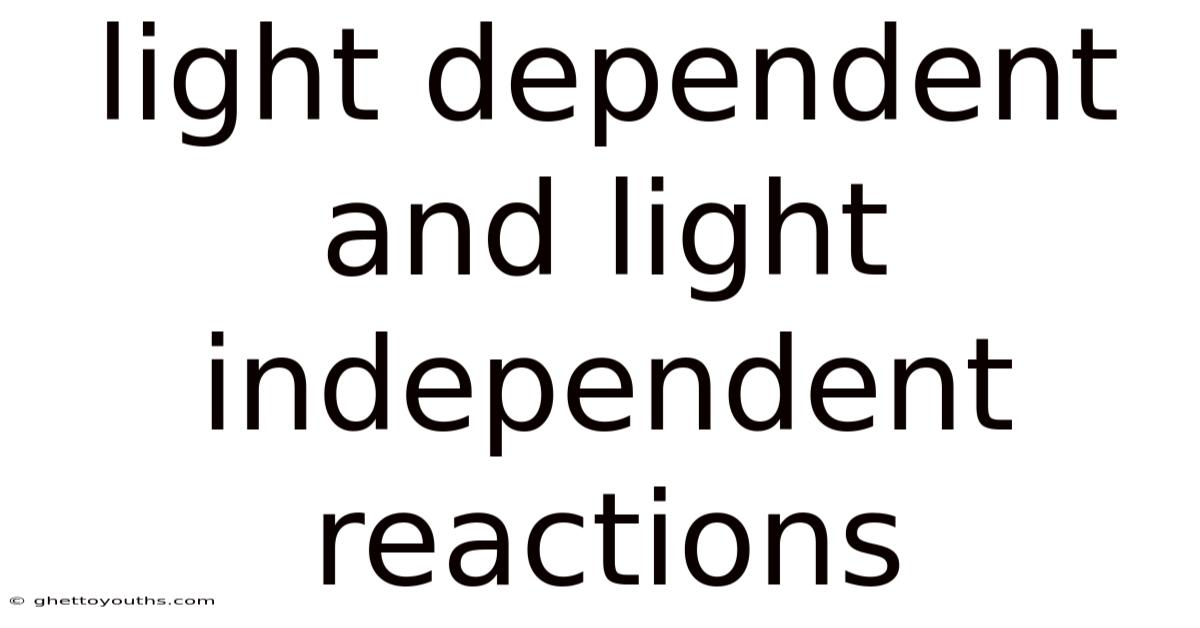 Light Dependent And Light Independent Reactions