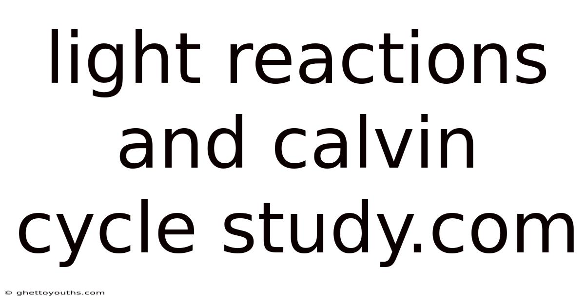 Light Reactions And Calvin Cycle Study.com