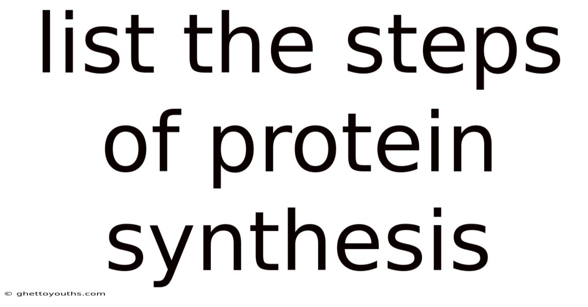 List The Steps Of Protein Synthesis