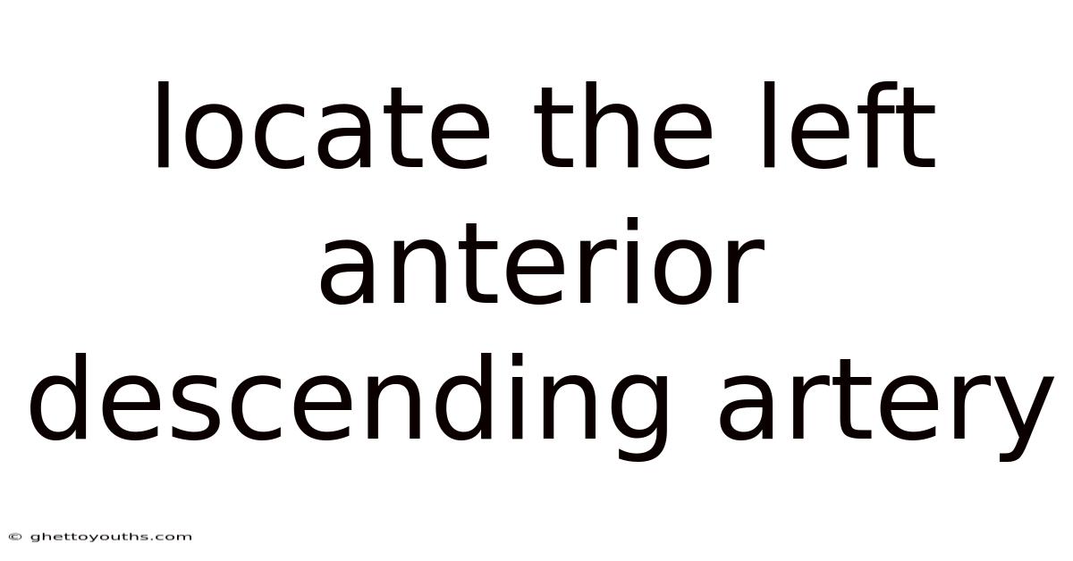 Locate The Left Anterior Descending Artery