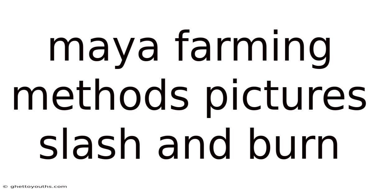 Maya Farming Methods Pictures Slash And Burn