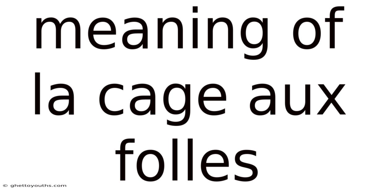 Meaning Of La Cage Aux Folles