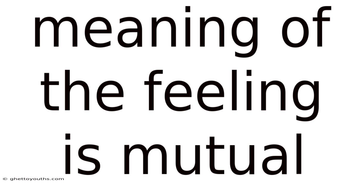 Meaning Of The Feeling Is Mutual
