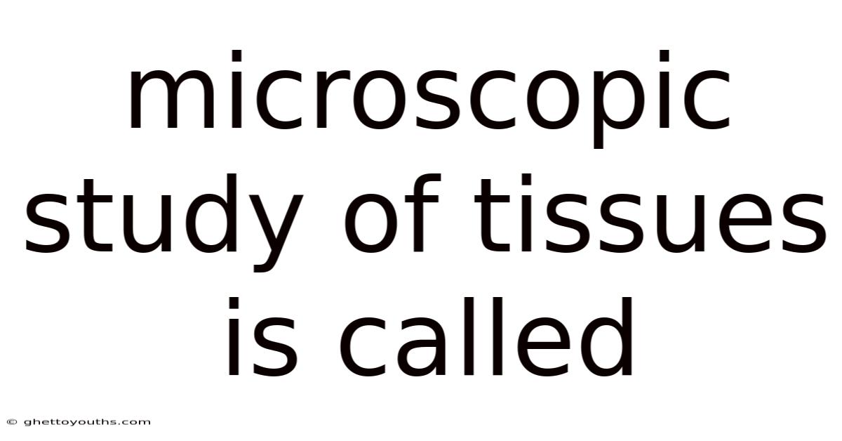 Microscopic Study Of Tissues Is Called