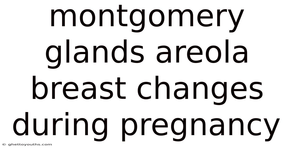 Montgomery Glands Areola Breast Changes During Pregnancy