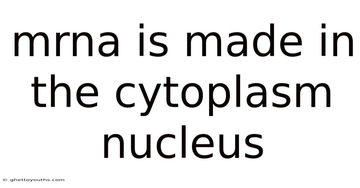 Mrna Is Made In The Cytoplasm Nucleus