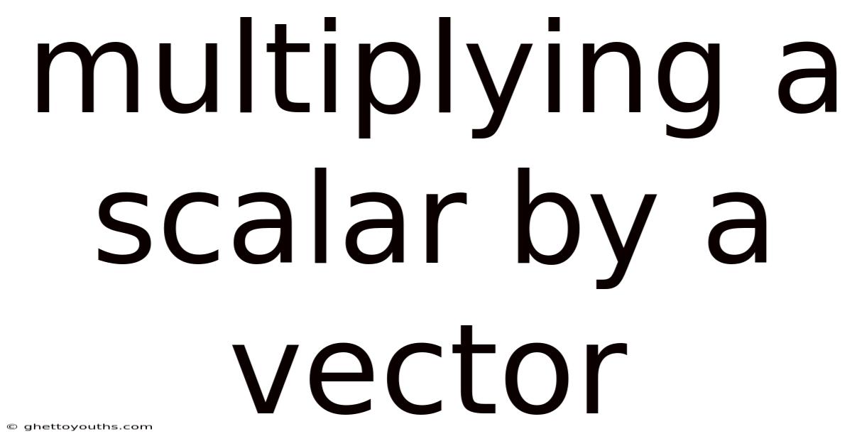 Multiplying A Scalar By A Vector