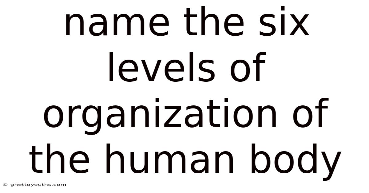Name The Six Levels Of Organization Of The Human Body