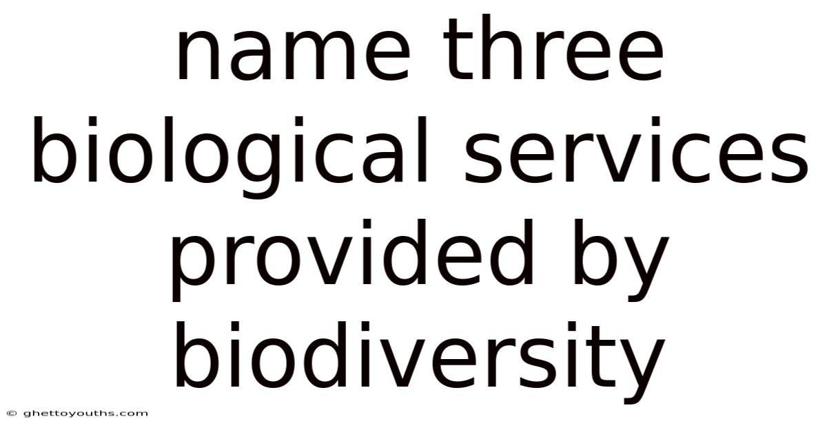 Name Three Biological Services Provided By Biodiversity