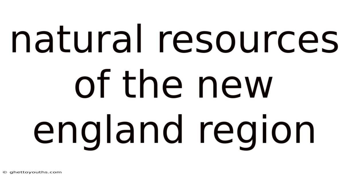 Natural Resources Of The New England Region