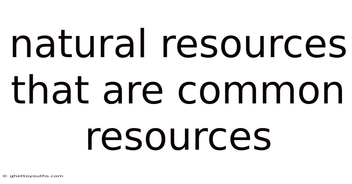 Natural Resources That Are Common Resources