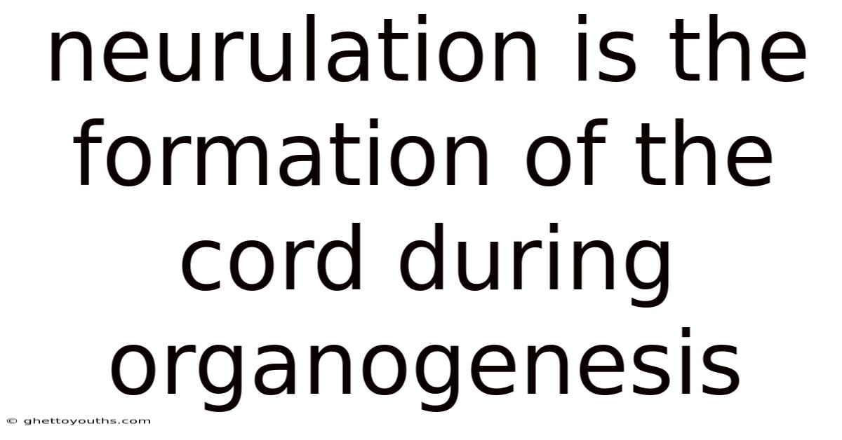 Neurulation Is The Formation Of The Cord During Organogenesis