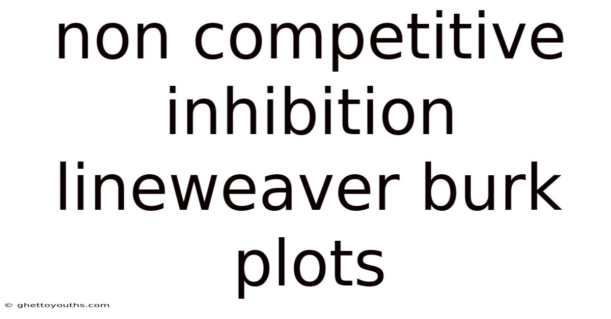 Non Competitive Inhibition Lineweaver Burk Plots