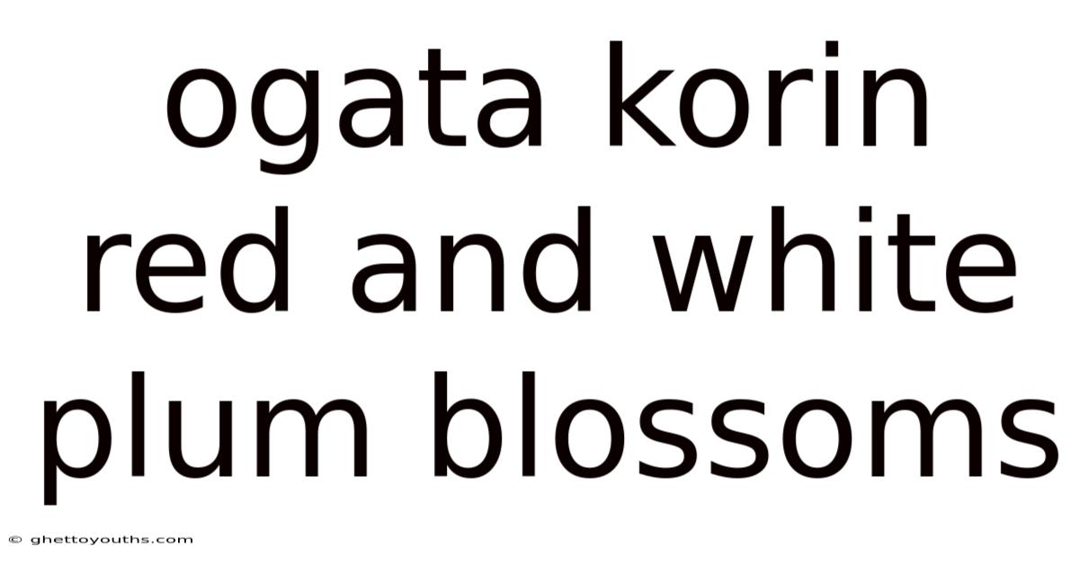 Ogata Korin Red And White Plum Blossoms