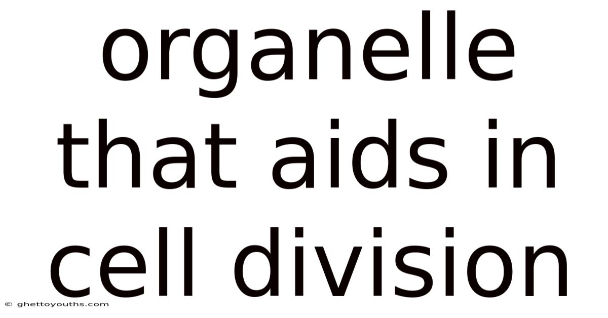 Organelle That Aids In Cell Division
