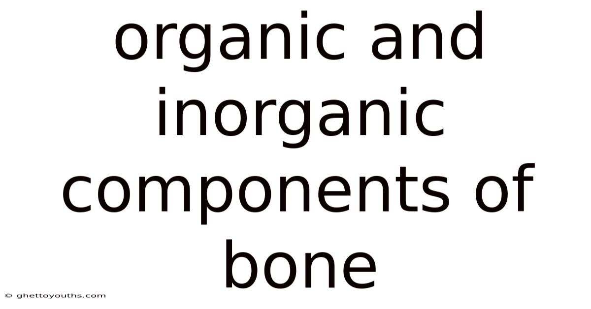 Organic And Inorganic Components Of Bone