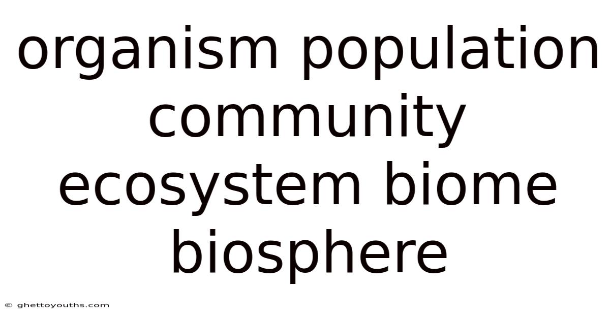 Organism Population Community Ecosystem Biome Biosphere