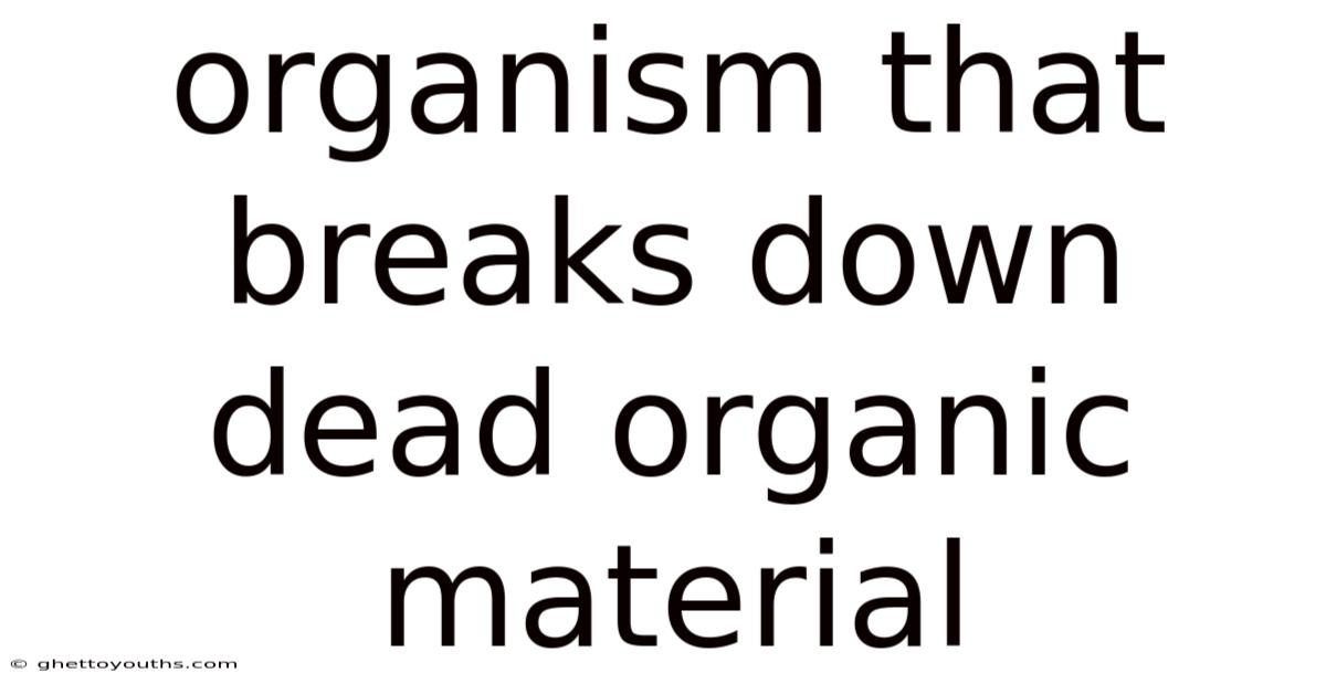 Organism That Breaks Down Dead Organic Material