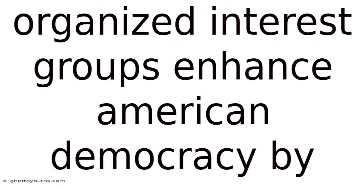 Organized Interest Groups Enhance American Democracy By