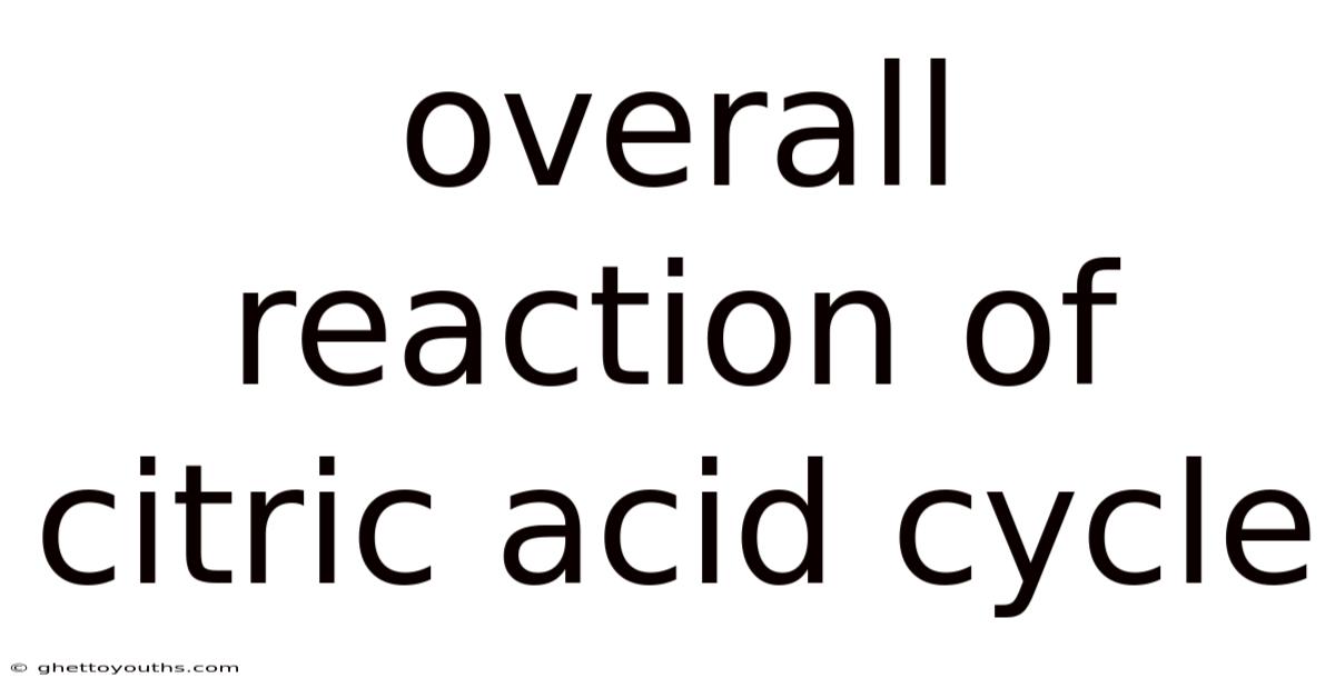 Overall Reaction Of Citric Acid Cycle