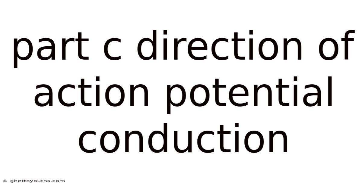 Part C Direction Of Action Potential Conduction