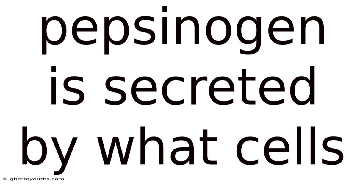 Pepsinogen Is Secreted By What Cells