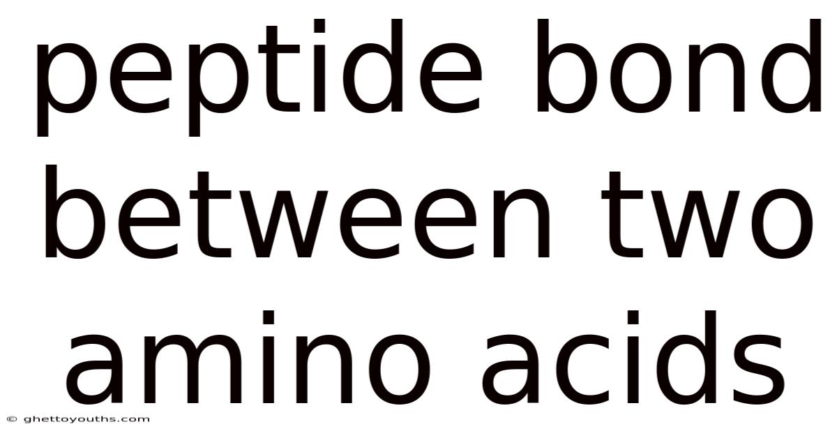 Peptide Bond Between Two Amino Acids
